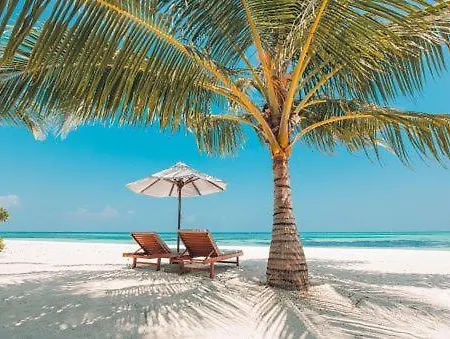 Gorgeous Beachy Chic Condo In Key Biscayne Miami Extérieur photo